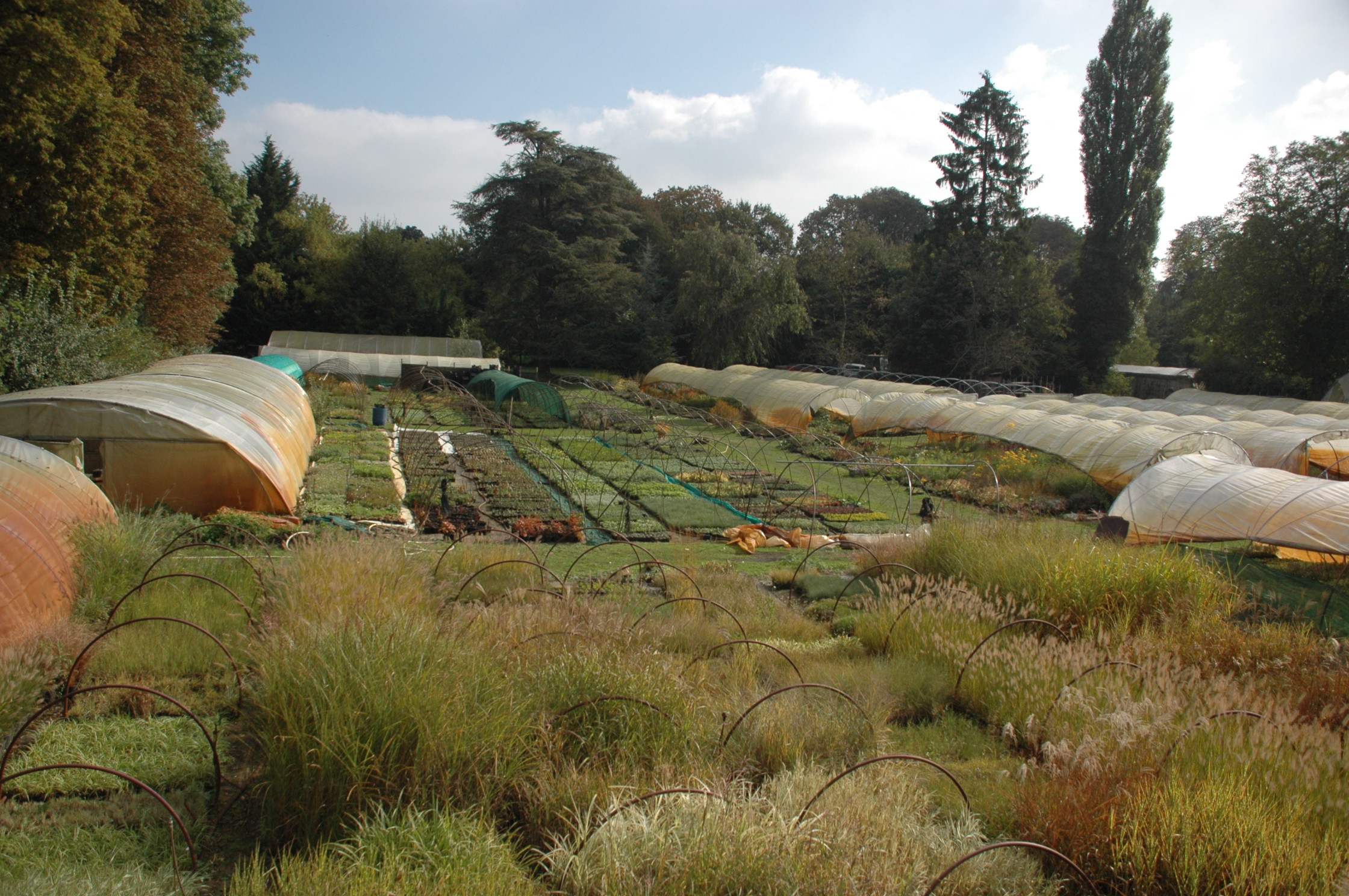 Présentation des pépinières demoinet